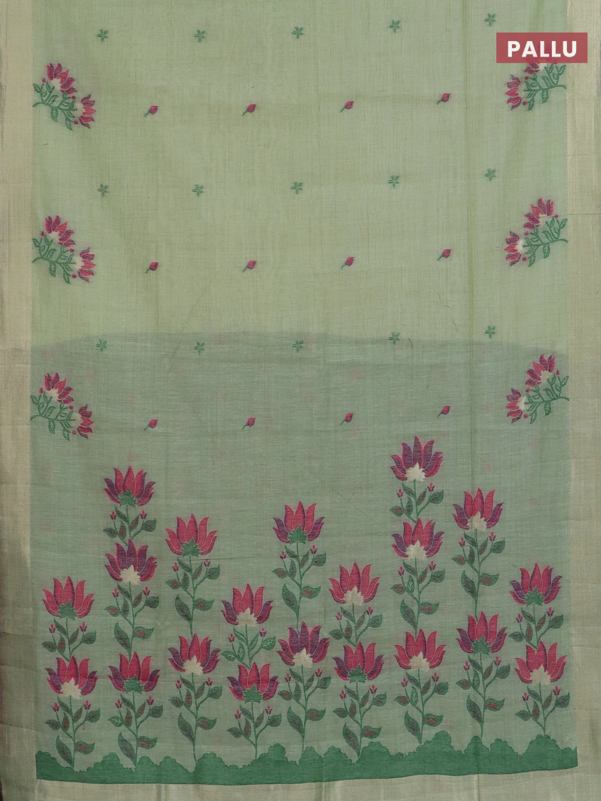 Jamdhani cotton saree pista green and green with allover thread woven buttas and jamdhani pallu - Image 3