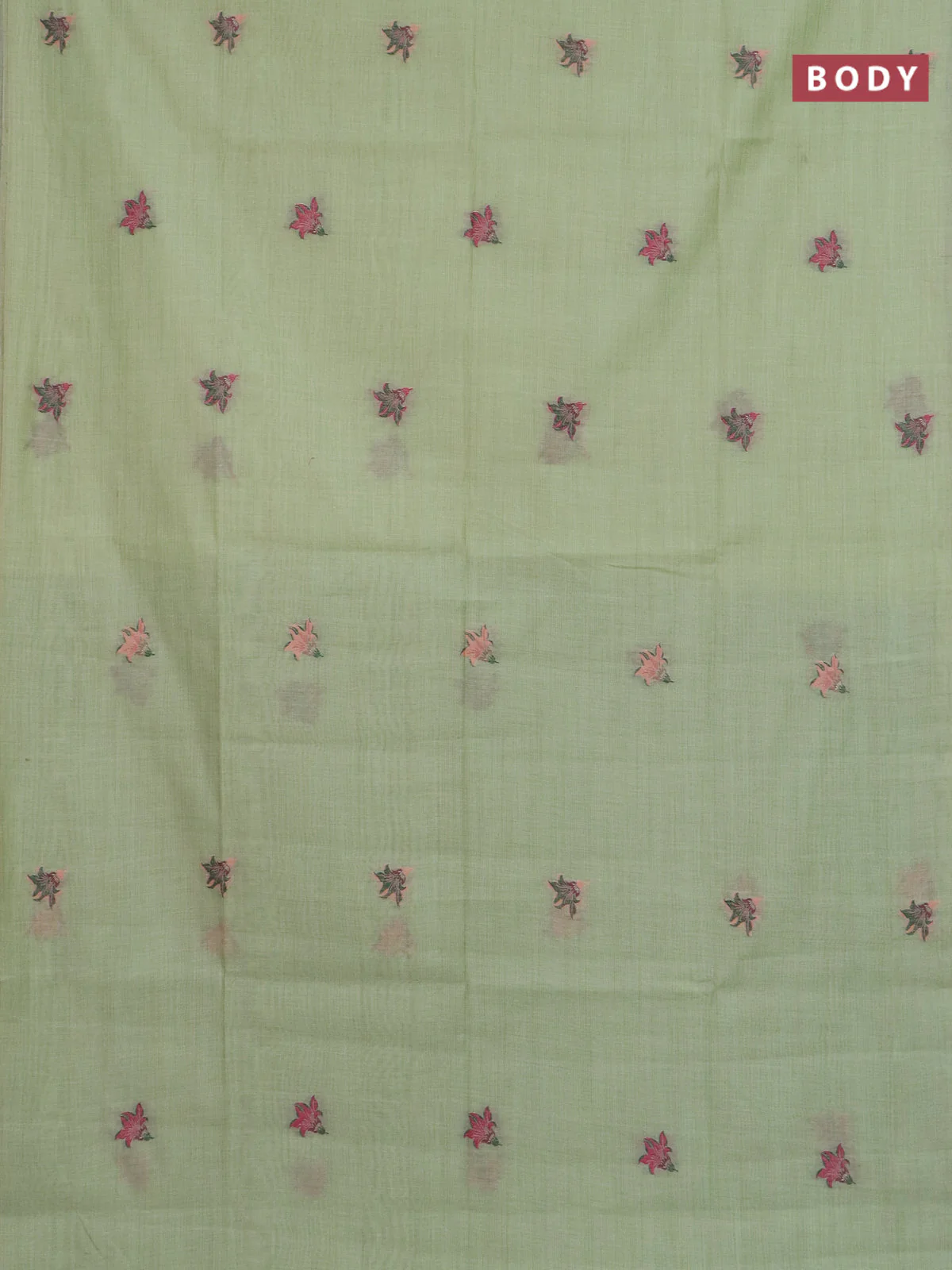 Jamdhani cotton saree pista green and green with allover thread woven buttas and jamdhani pallu - Image 2