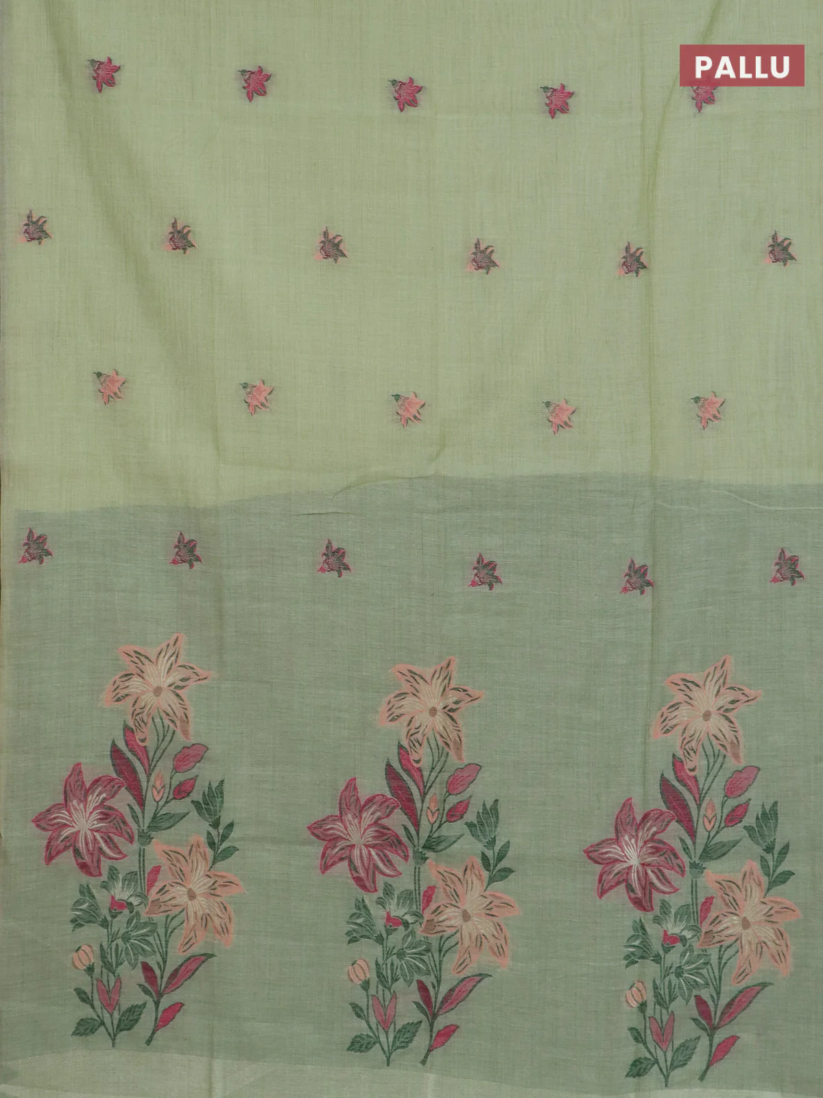 Jamdhani cotton saree pista green and green with allover thread woven buttas and jamdhani pallu - Image 3