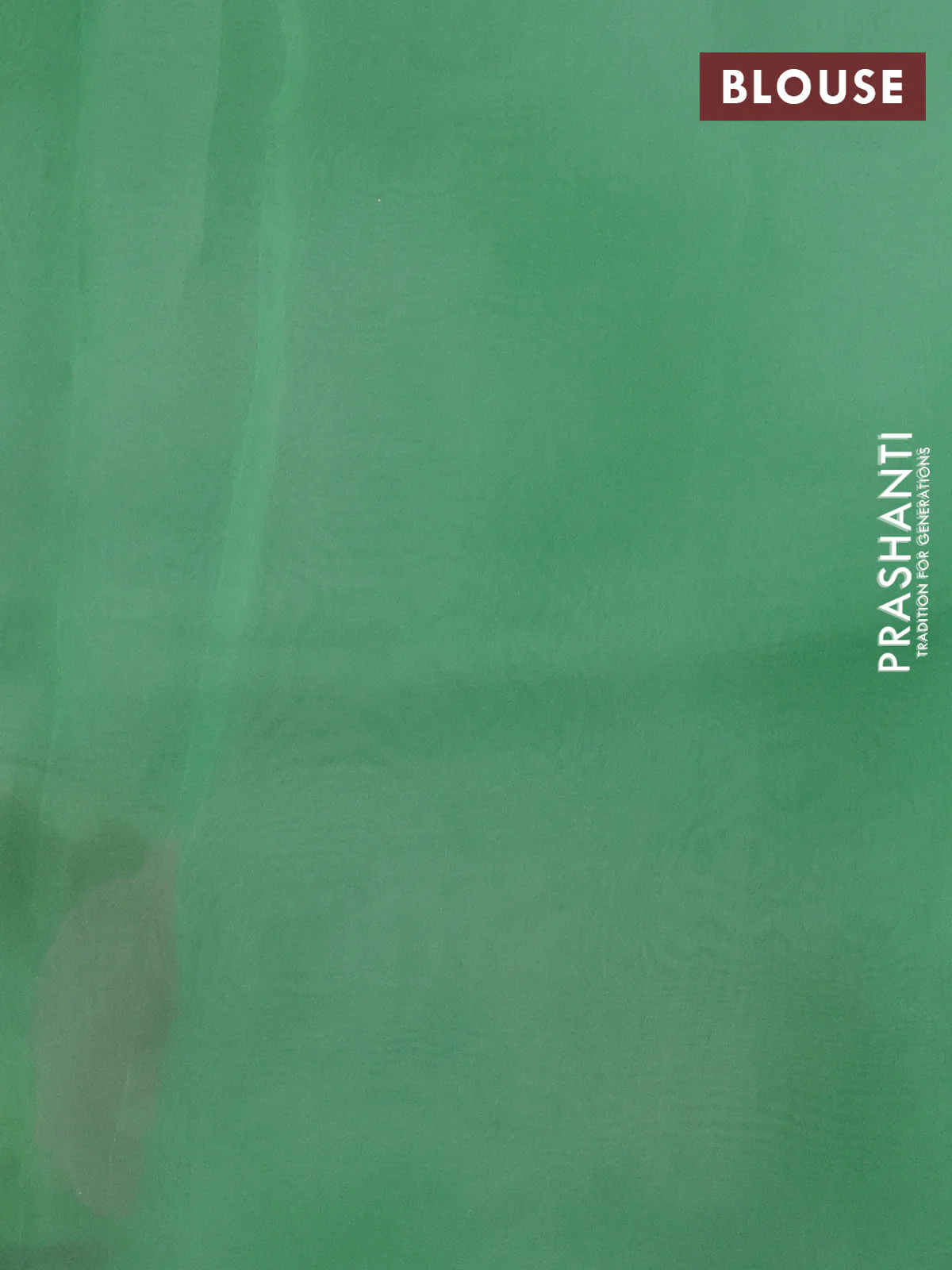 Pure organza silk saree light green with floral embroidery buttas and floral embroidery border - Image 3