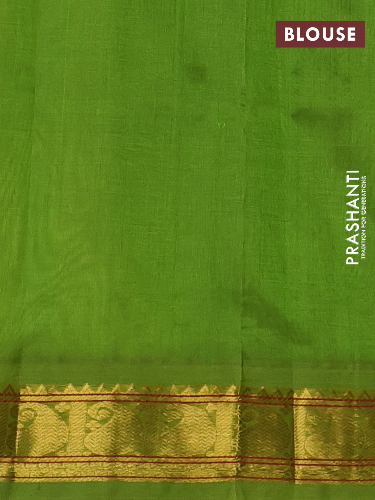 Silk cotton saree cream and light green with plain body and paisley zari woven korvai border - Image 3