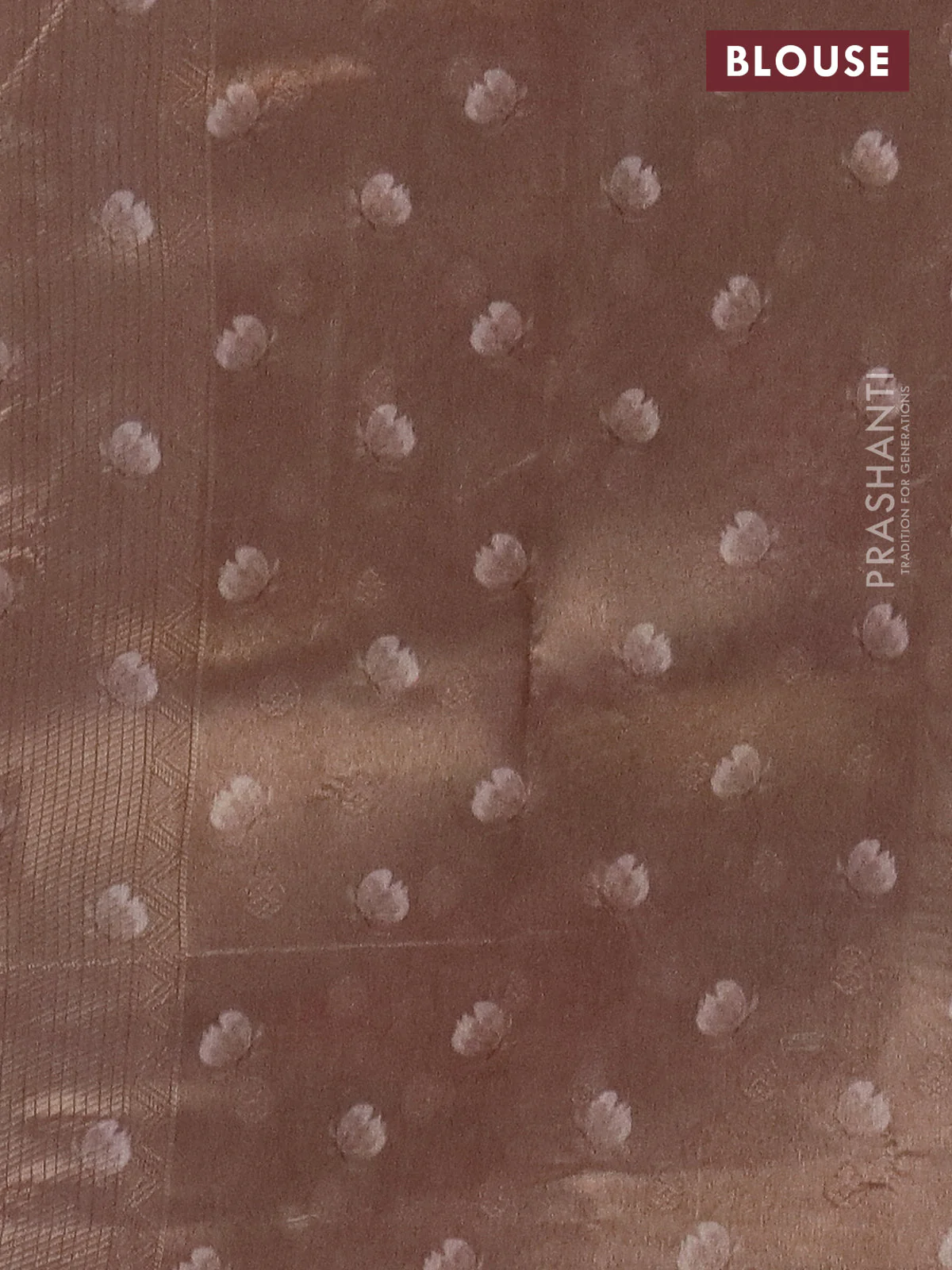 Tissue saree beige with allover zari weaves and floral digital printed border - Image 4