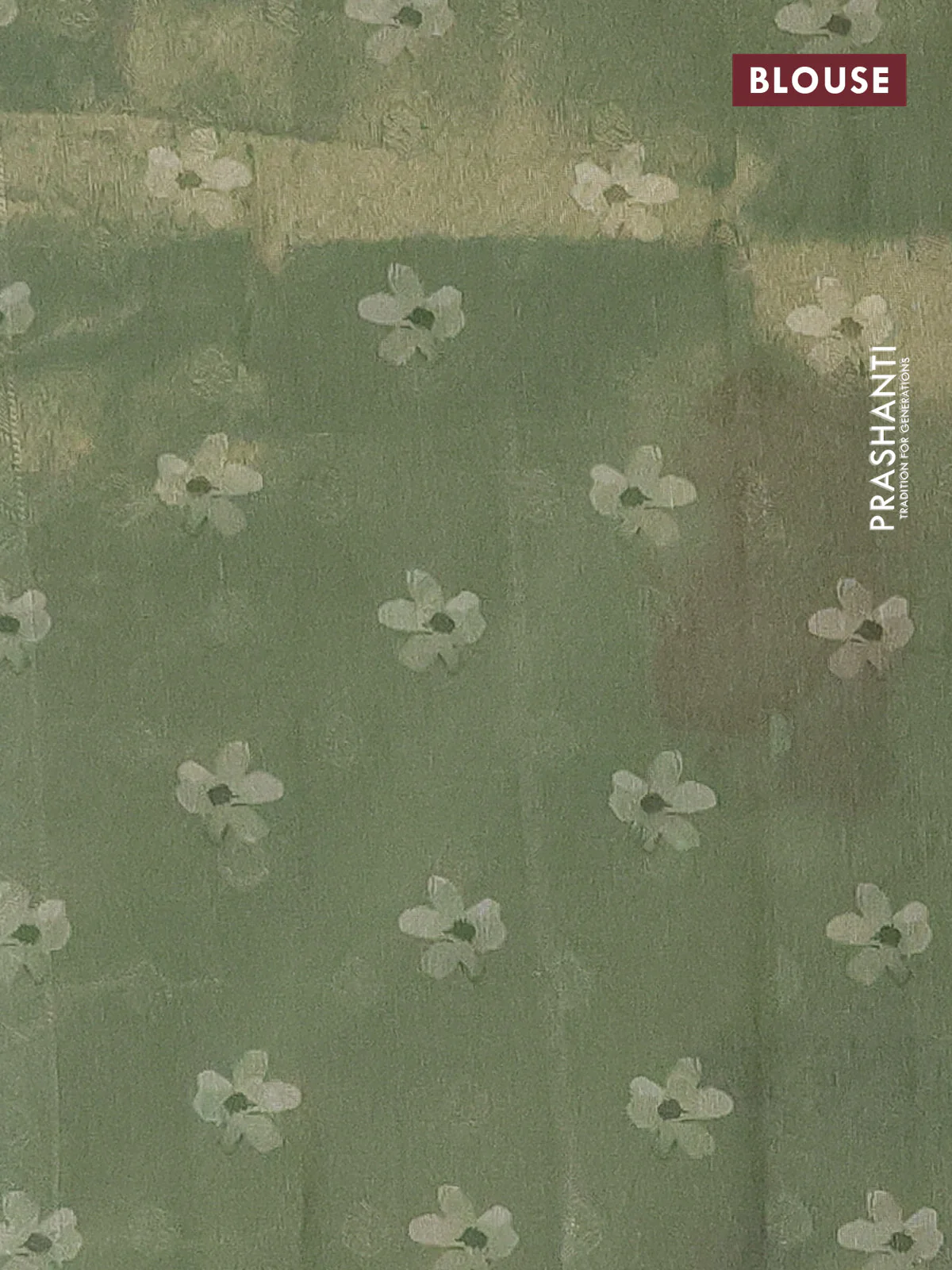Tissue saree pastel green with allover zari weaves and digital printed border - Image 4