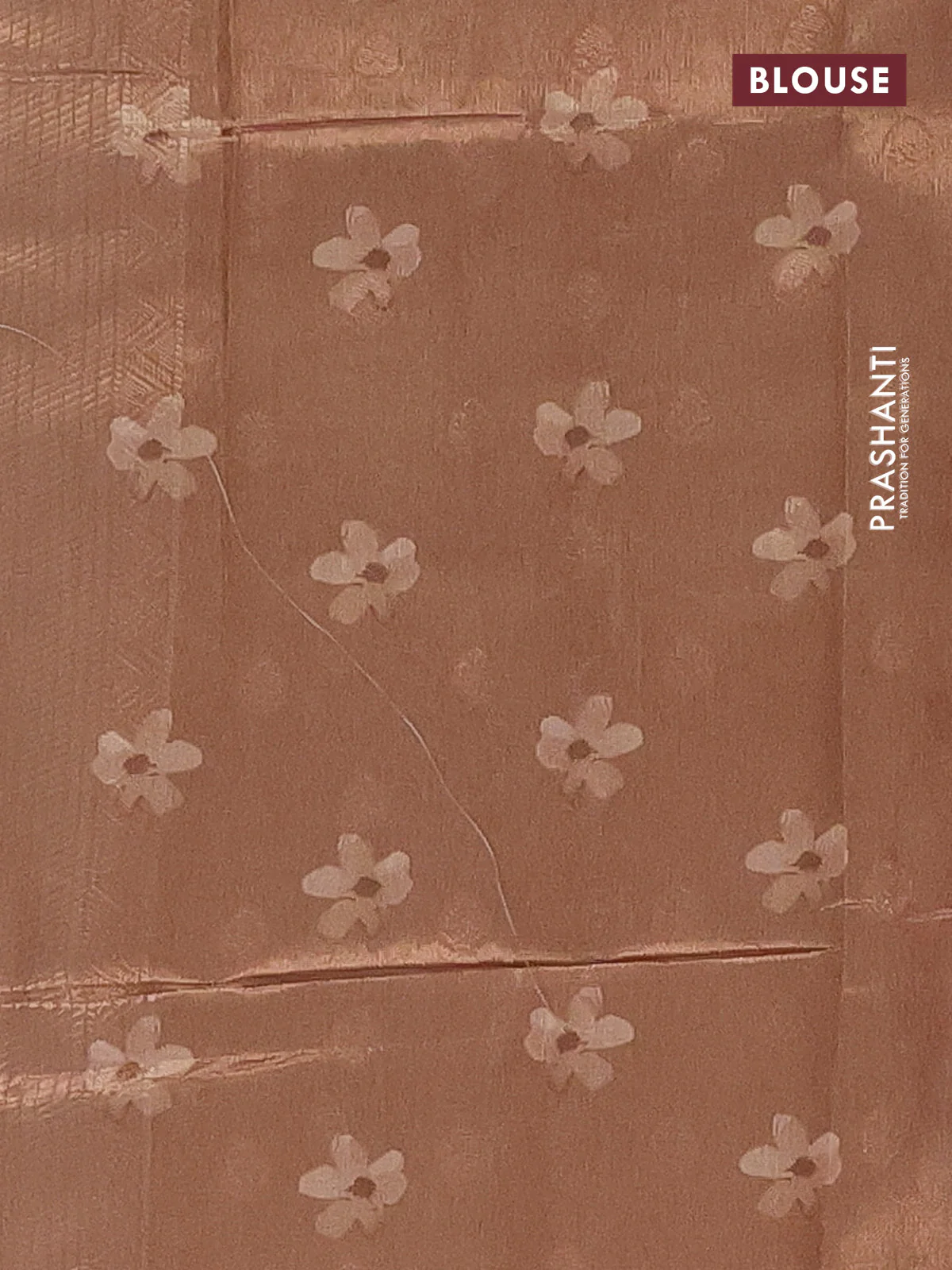 Tissue saree sandal with allover zari weaves and digital printed border - Image 4