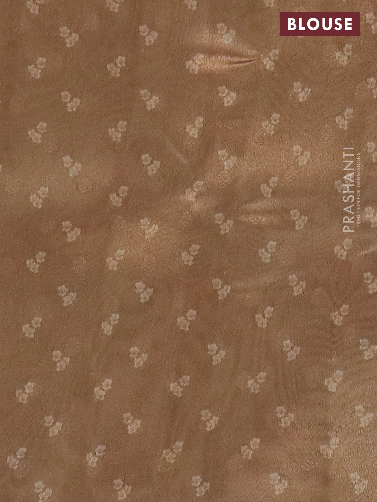 Tissue saree sandal with allover zari weaves and floral digital printed border - Image 4