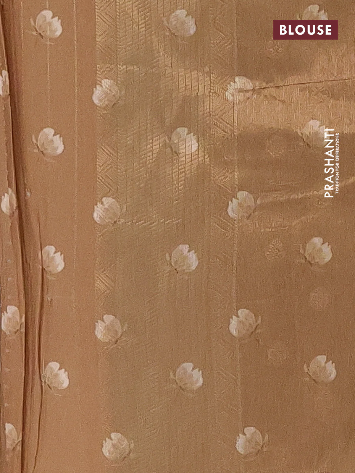Tissue saree sandal with allover zari weaves and floral digital printed border - Image 4