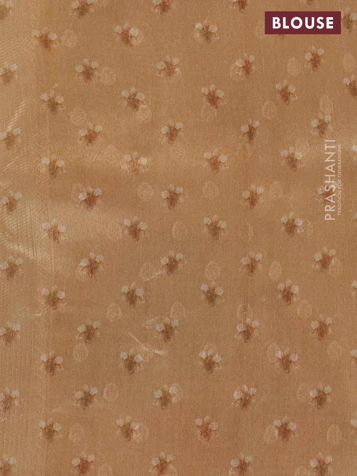 Tissue saree sandal with allover zari weaves and floral digital printed border - Image 4