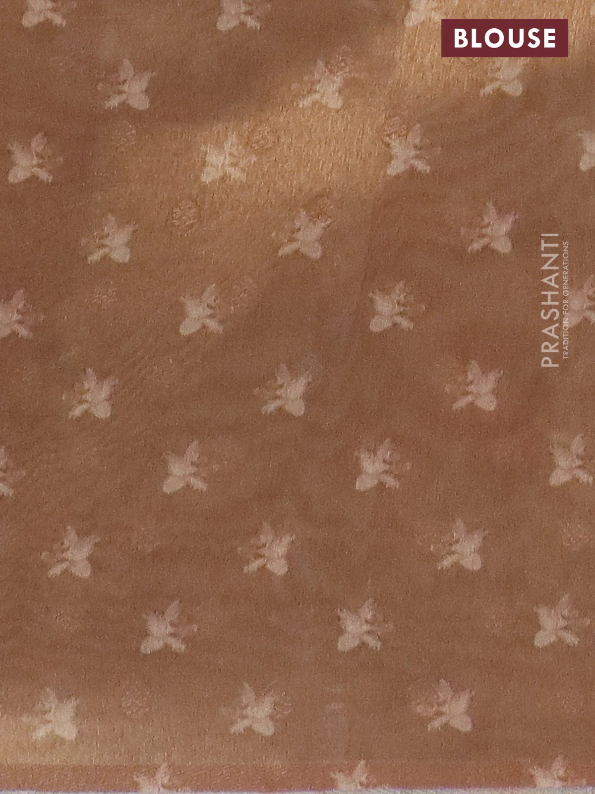 Tissue saree sandal with allover zari weaves and floral digital printed border - Image 4