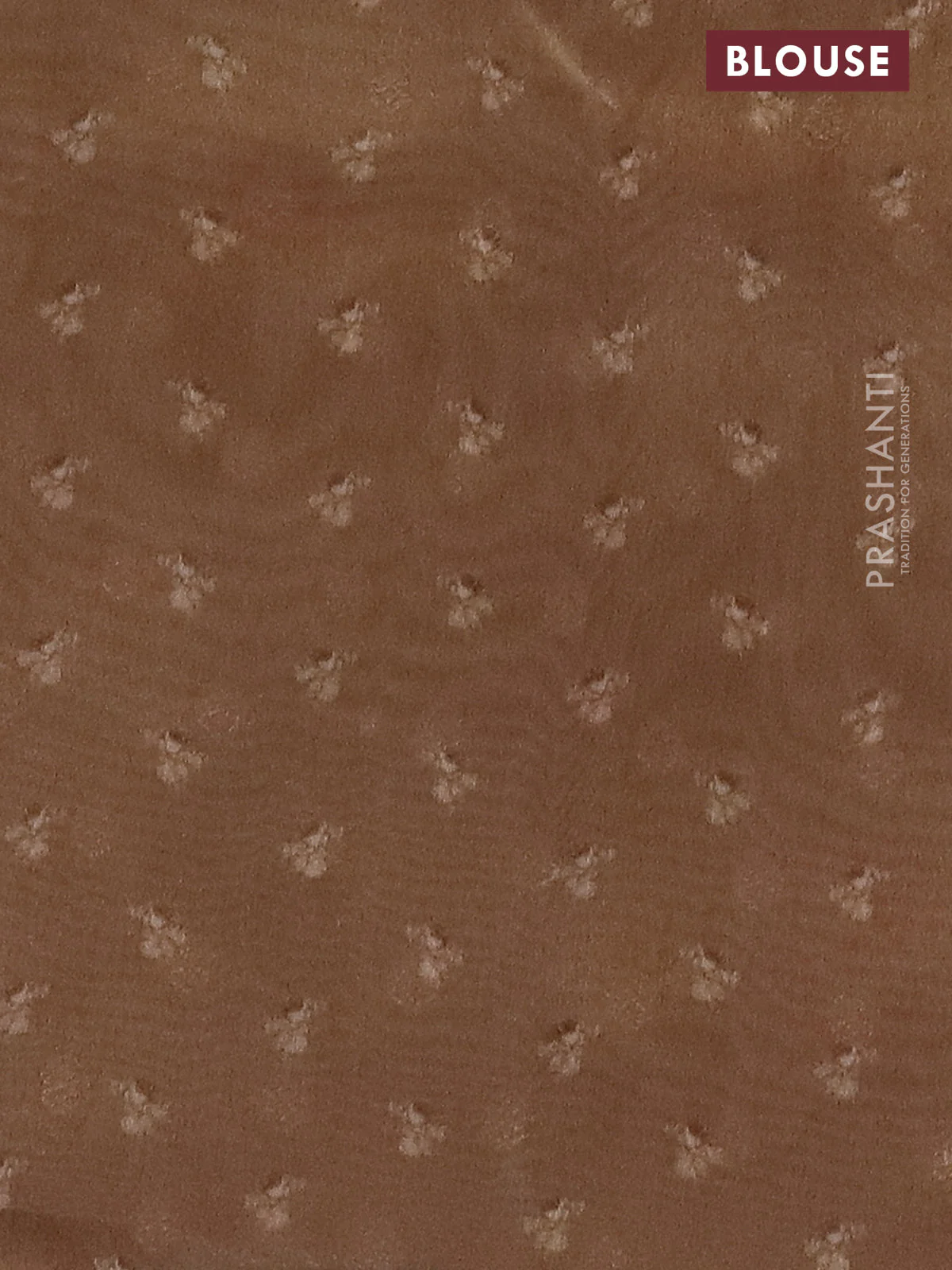 Tissue saree sandal with allover zari weaves and floral digital printed border - Image 4